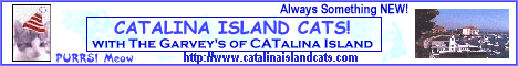 Catalina Island Cats with The Garvey's of CATalina Island!