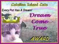 Catalina Island
Cats DREAM COME TRUE Award!
